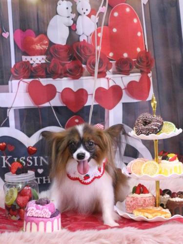 20250205ラナちゃん